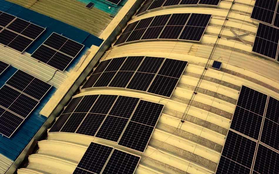 Responsabilidad ambiental